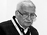 Artikli juurde